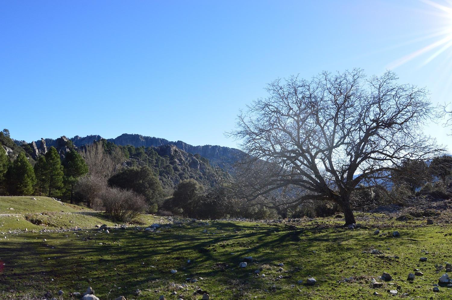 Vivienda Rural El Penon De Los Primillas La Iruela Esterno foto