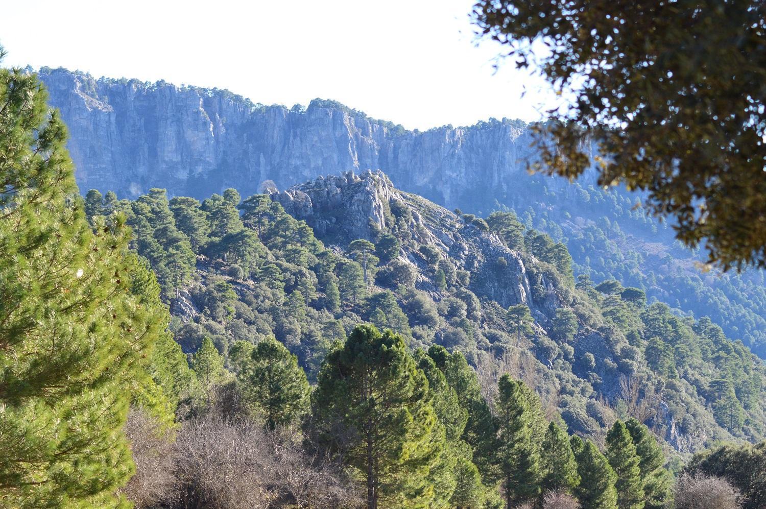 Vivienda Rural El Penon De Los Primillas La Iruela Esterno foto